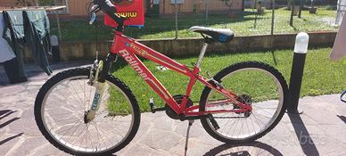 Bicicletta ragazzo/ragazza