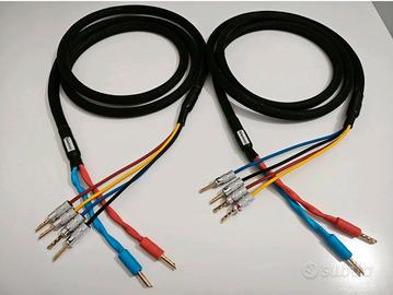Cavo di potenza Biwiring Salaantonio