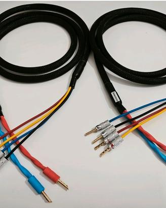 Cavo di potenza Biwiring Salaantonio