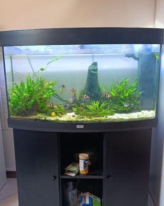 Acquario Juwel Vision 180 LED + Spectrum 920