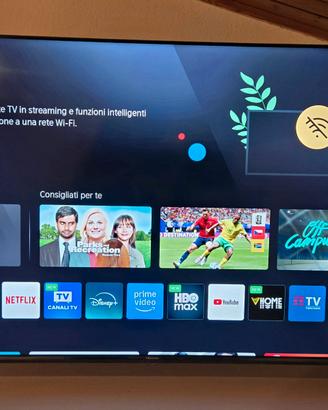 TV Hisense  55" QLED 4K  55E77NQ PRO, Smart TV