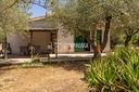 villetta-bifamiliare-con-oliveto