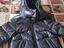 Immagine 1