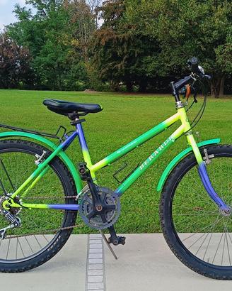 Bici ragazzo 24"