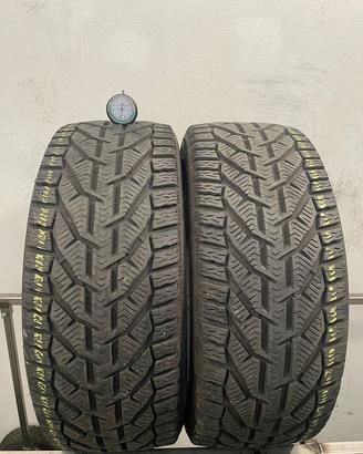 215 45 r17 91v 2 gomme taurus invernali