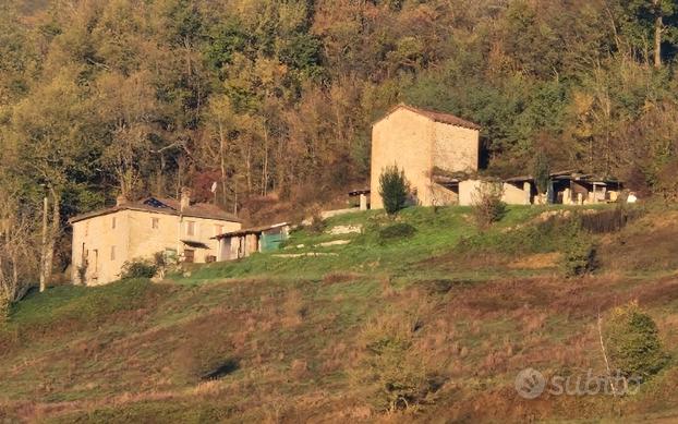 Rustici con terreno e bosco