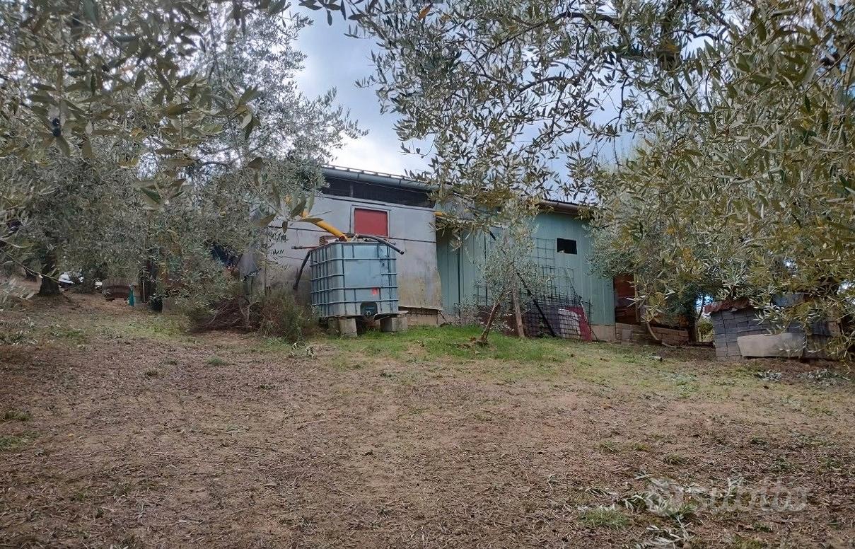 Terreno agricolo - Vista 3