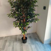 Pianta artificiale per arredo