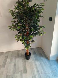 Pianta artificiale per arredo