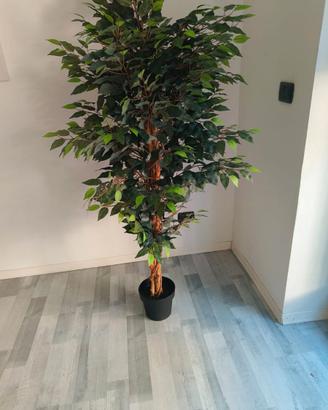 Pianta artificiale per arredo