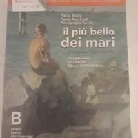 il più bello dei mari B 9788839526311