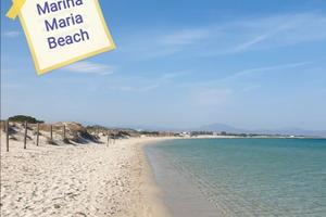 Olbia Murta Maria bilocali a  1 km dalla spiaggia