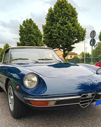 Alfa Romeo Duetto 
