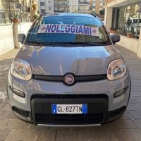 FIAT Panda 1.0 FireFly 5 porte S&S Hybrid NOLEGGIO