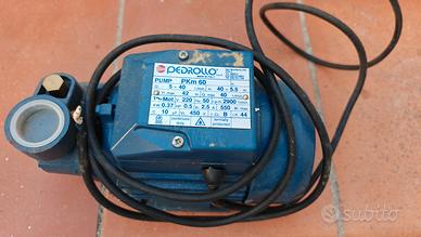 Elettropompa periferica monofase Pedrollo PKm 60