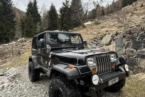 Jeep Wrangler YJ 4.2 ASI