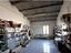 Immagine 7