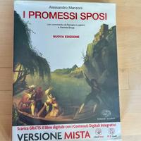 libro di testo, I promessi sposi, nuova edizione 