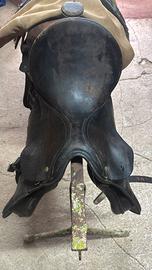 Sella da inglese kieffer