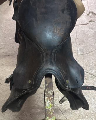 Sella da inglese kieffer