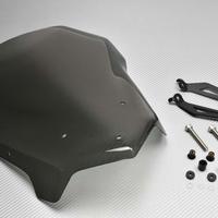 Cupolino Policarbonato BMW F800R 2015 / 2019