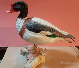 Volpoca in scultura di argilla e dimens. naturali