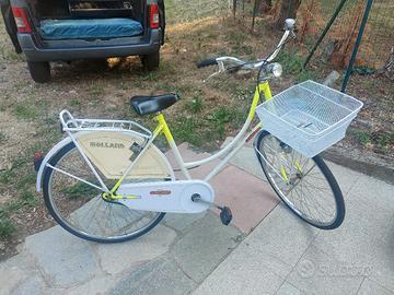 Bicicletta Holland 26'' con cestello