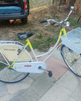 Bicicletta Holland 26'' con cestello