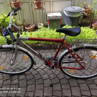 bottecchia 28