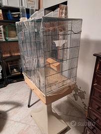 Voliera e gabbie