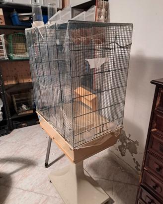 Voliera e gabbie