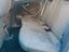Immagine 13