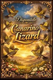 Canarino Lizard