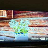 Televisione 85" hisense UHD 4k smart