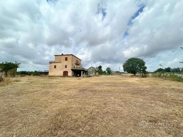 TER. AGRICOLO A CIVITA CASTELLANA