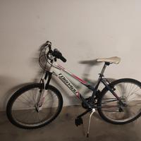 bici Mountain bike 