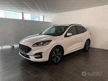 Ford Kuga 2.0 ecoblue mhev ST-Line X 2wd 150cv