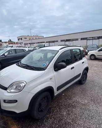 Panda 4 x 4
