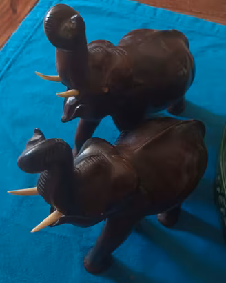 Coppia di elefanti