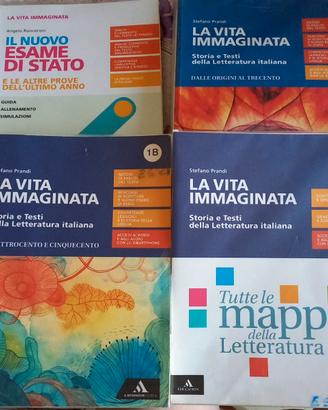 la vita immaginata