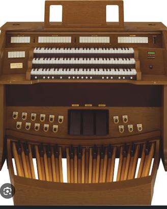 Organo liturgico Ahlborn 3 man.