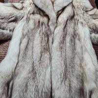 Pelliccia Volpe della Groenlandia, bellissim e co