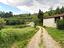 Immagine 16