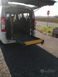 Sollevatore per disabili braun