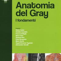 Anatomia del Gray. I fondamenti