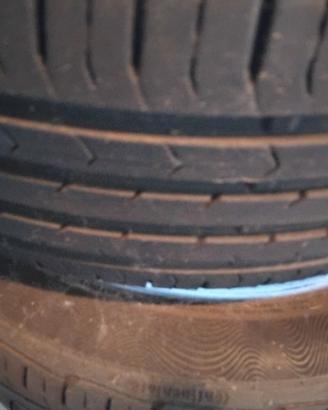 gomme estive 