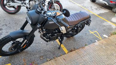 Brixton Felsberg 250 - 2022