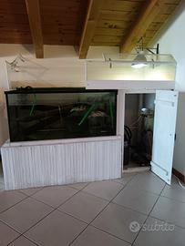 Aquario completo più due tartarughe pseudemys 