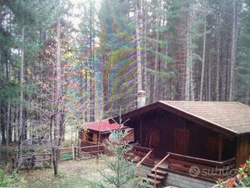 Chalet del bosco,Camigliatello,Sila