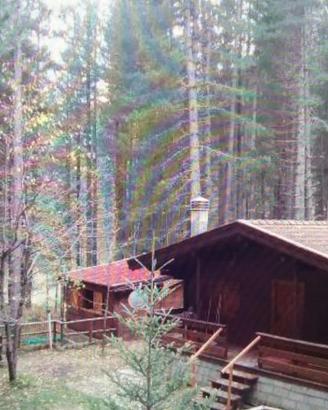 Chalet del bosco,Camigliatello,Sila